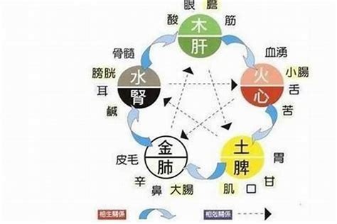 五行缺水的人|五行缺水的人注意什么